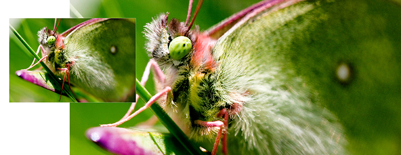 My bookphotoservice18